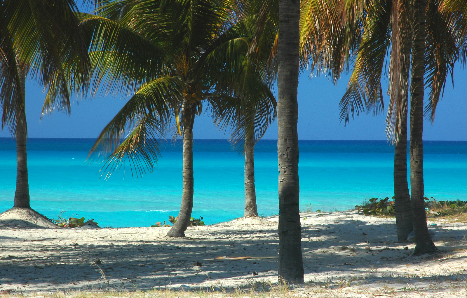 St.-Martin-Beach-www.njcharters.com_